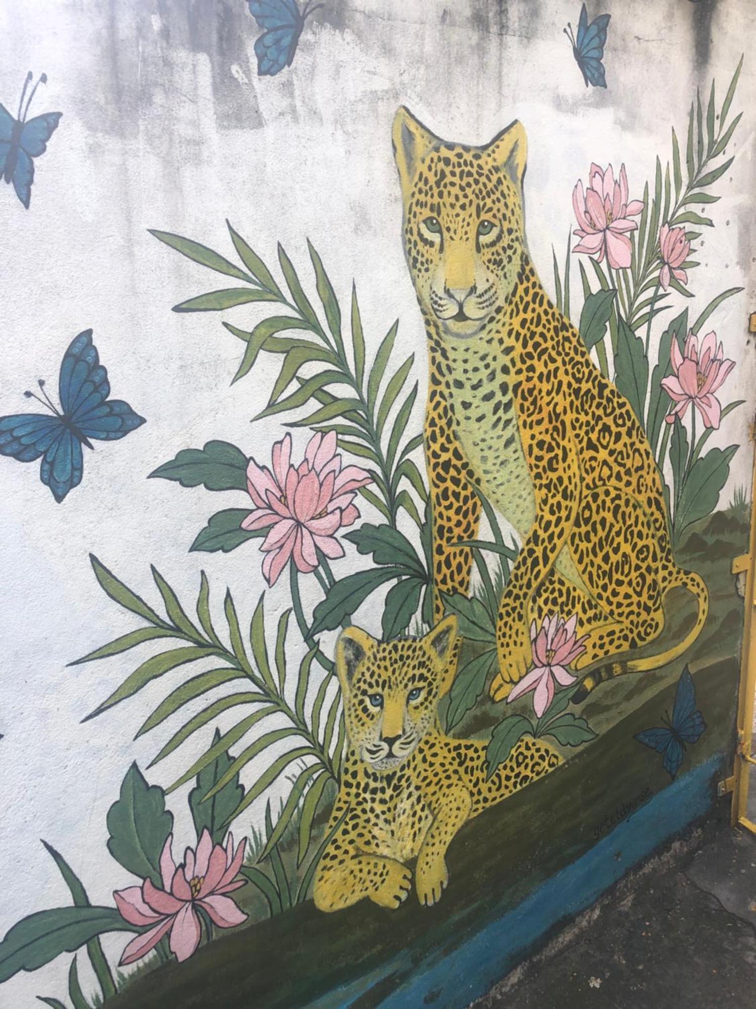 Onca Da Praia Hostel 维多利亚 外观 照片